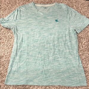 Men’s Express Light Blue V-Neck T-Shirt